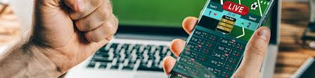 Reviewing Your Account Information After Completing EEbet Registration